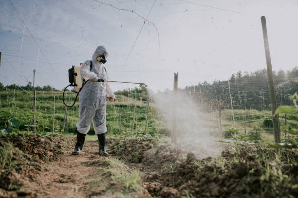 Pest Control Cost in Mount Olive, AL