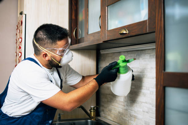 Best Best Pest Control Companies  in Mount Olive, AL