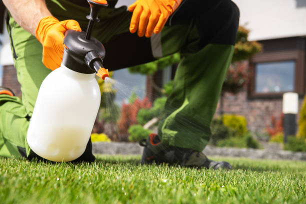 Best Cockroach Control Services  in Mount Olive, AL