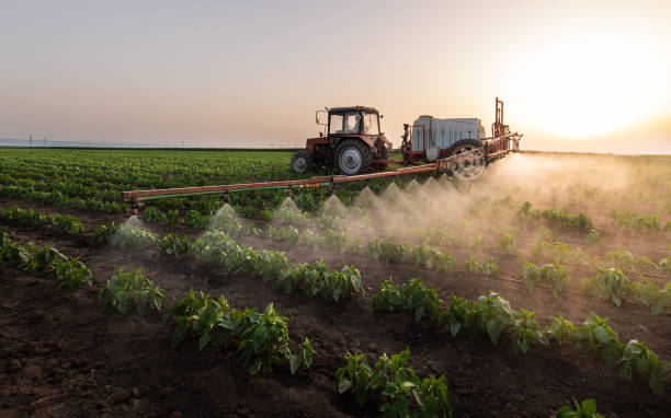 Best Insect Control  in Mount Olive, AL