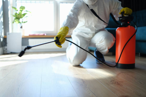 Best Mosquito Control Services  in Mount Olive, AL