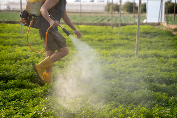Best Commercial Pest Control Services  in Mount Olive, AL