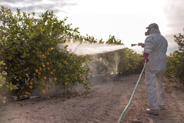 Best Best Pest Control Companies  in Mount Olive, AL