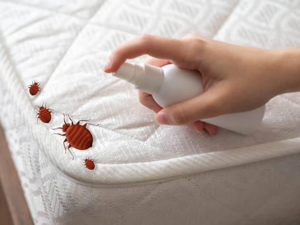  Mount Olive, AL Pest Control Pros