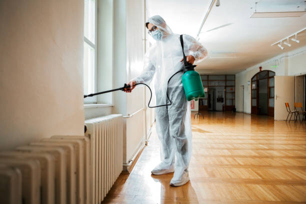 Best Pest Removal Services  in Mount Olive, AL