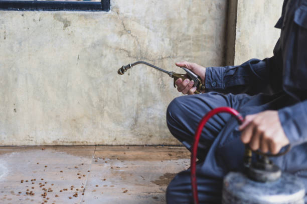 Best Residential Pest Control  in Mount Olive, AL