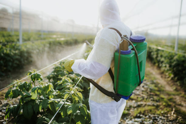 Best Commercial Pest Control Services  in Mount Olive, AL